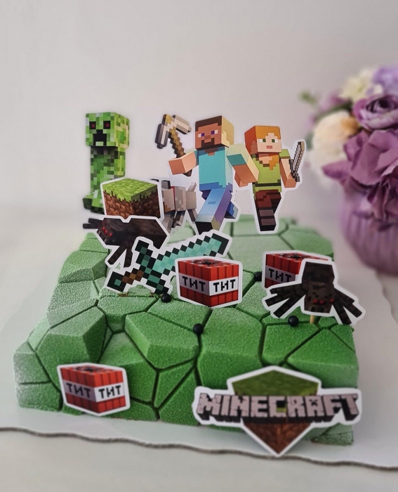 Suita de toppere din carton cu tematica Minecraft [8]