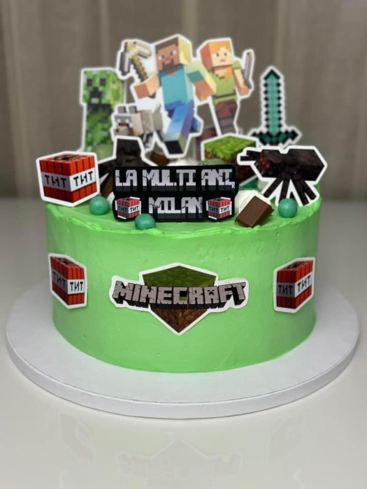 Suita de toppere din carton cu tematica Minecraft [13]