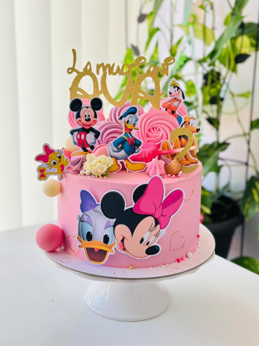 Toppere de tort adamea cu personaje  din carton [3]
