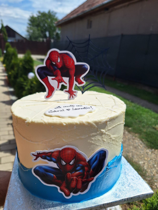 Suita de tort cu Spiderman si personalizata [23]
