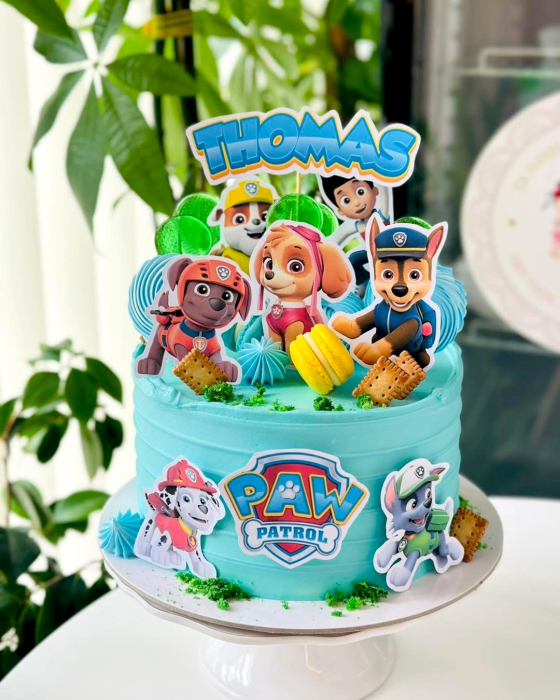 Suita de toppere cu Patrula Catelusilor [45]