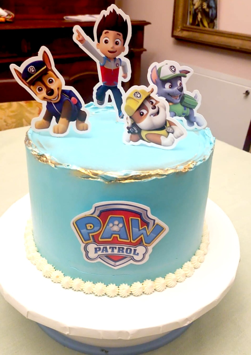 Suita de toppere cu Patrula Catelusilor [49]