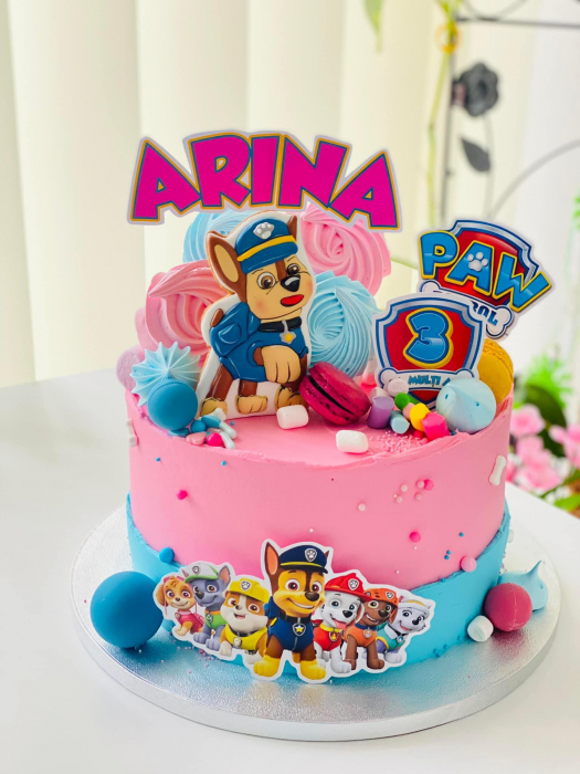 Topper tort personaje animate - decor carton premium ADAMEA [4]