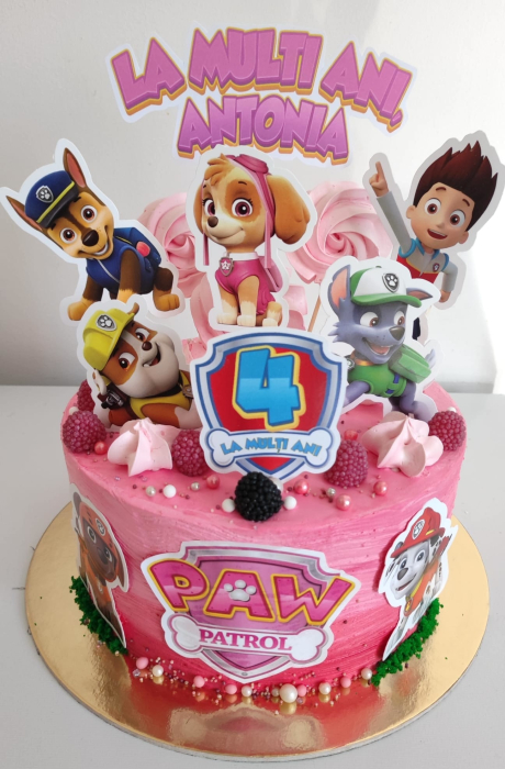 Topper de tort cu element special din carton sub forma de cap de logo Paw Patrol roz cu fucsia [3]