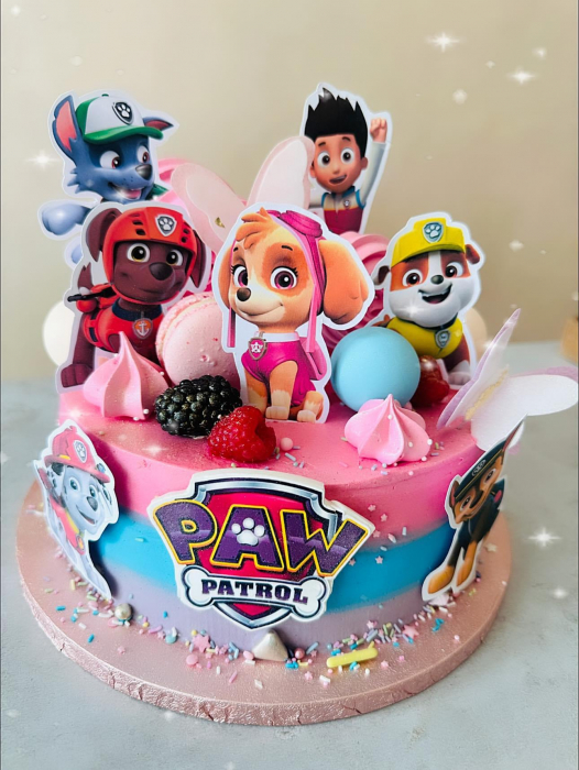 Topper frontal de tort cu logo Patrula Catelusilor roz cu mov [2]