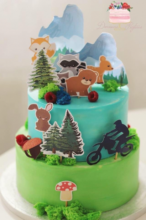 Topper tort  moto cross [3]