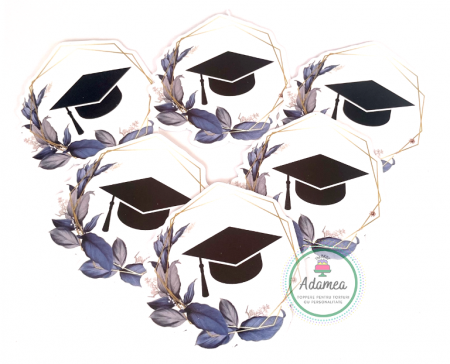 Final de an scolar - Topper tort cu stegulet din carton hezagonal cu frunze albastre si toca