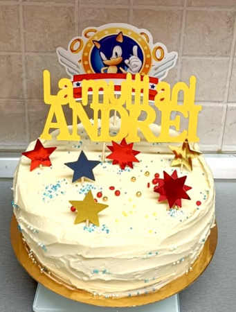Banner cu Sonic [1]
