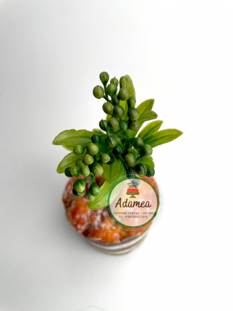 Topper de tort personalizat cu element special din plastic de laur englezesc cu fructe  verzi [1]