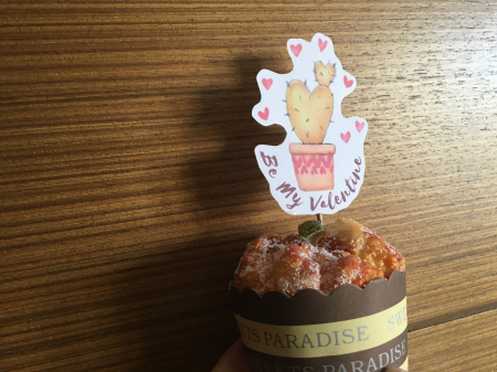 Iubire - Steulet de Valentine cu cactus