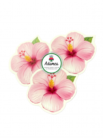 Tematici - Topper de tort  personalizat cu element special din carton sub forma de  3 floricele roz exotice potrivite pentru torturile cu tematica Stitch sau Hawaiene