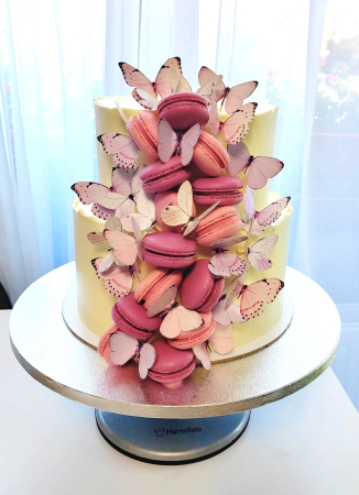 Toppere fluturi roz prafuit [28]