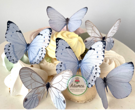 Fluturași - Toppere tort din carton sub forma de fluturi baby blue