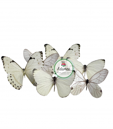 Topper de tort cu element special din carton sub forma de fluture galben deschis