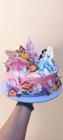 Set toppere fluturi [17]