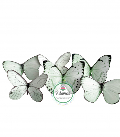 Topper de tort cu element special din carton sub forma de fluturi verde deschi