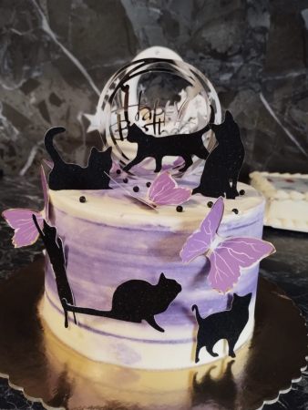 Set 6 toppere tort cu pisicute