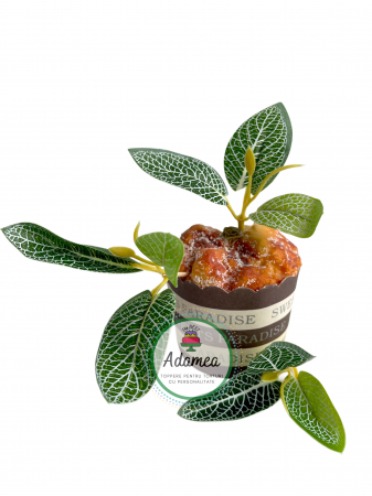 Topper de tort personalizat cu element special din plastic si textil de planta mozaic