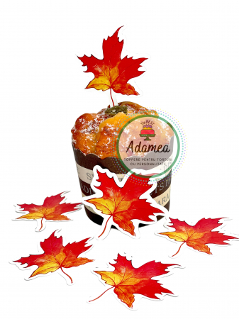 De toamna - Set 6 toppere tort frunze de arțar roșii - decor carton premium ADAMEA