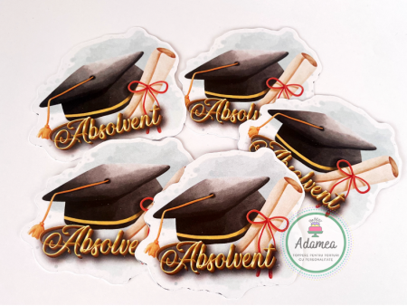 Topper tort cu stegulet din carton cu absolvent, toca si diploma [0]