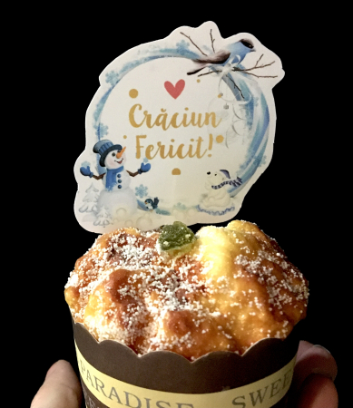 Topper pentru sarbatorile de iarna