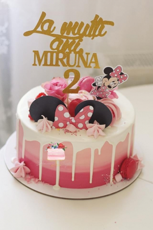 Suită toppere Minnie cu fundă și urechi