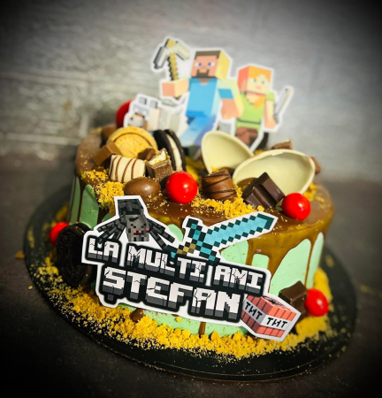 Suita de toppere din carton cu tematica Minecraft [17]