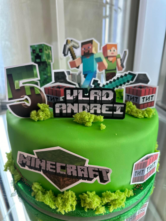 Suita de toppere din carton cu tematica Minecraft [15]