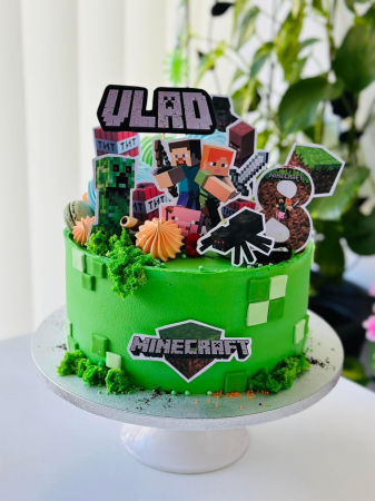 Suita de toppere din carton cu tematica Minecraft [8]