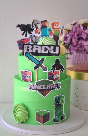 Suita de toppere din carton cu tematica Minecraft [6]
