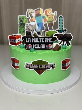 Suita de toppere din carton cu tematica Minecraft [12]