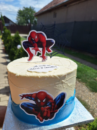 Suita de tort cu Spiderman si personalizata [22]