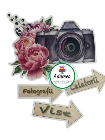 Calatorii - Topper de tort  personalizat cu element special din carton sub forma deaparat foto cu flori si sageti cu vise, fotografii si calatorii