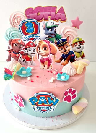 Suita de toppere cu Patrula Catelusilor [50]