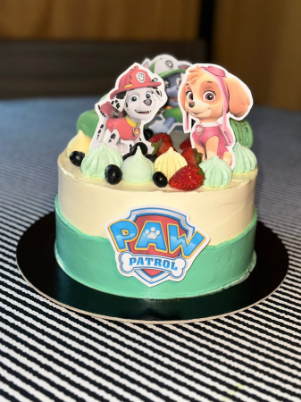 Suita de toppere cu Patrula Catelusilor [45]