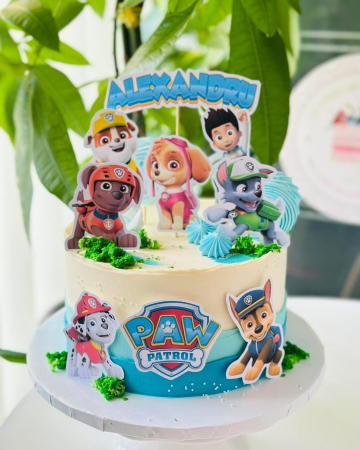 Suita de toppere cu Patrula Catelusilor [47]