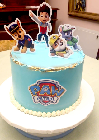 Suita de toppere cu Patrula Catelusilor [48]