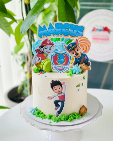 Suita de toppere cu Patrula Catelusilor [46]