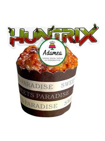 Generale - Topper de tort  personalizat cu element special din carton sub forma de logo Huntrix de Craciun