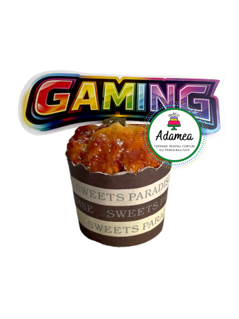 Roblox - Topper de tort  personalizat cu element special din carton  premium de inalta calitate sub forma de placheta de joc din roblox colorata