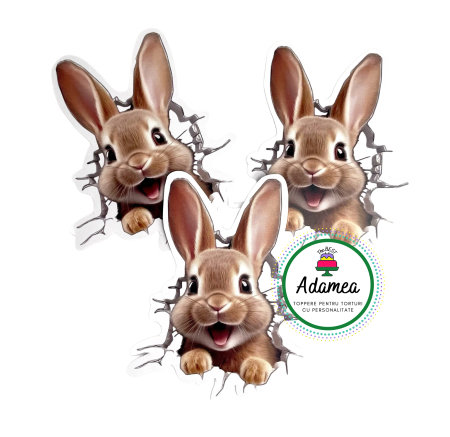 Toppere tort - Topper de tort  personalizat cu element special din carton  premium de inalta calitate sub forma de iepure care iese din tort