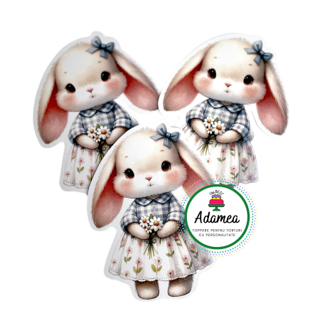 Toppere tort - Topper de tort  personalizat cu element special din carton premium de inalta calitate sub forma de fetita iepuras delicata cu floricele