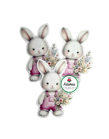 Iepuraș - Topper de tort  personalizat cu element special din carton  premium de inalta calitate sub forma de iepure fetita cu foricele roz