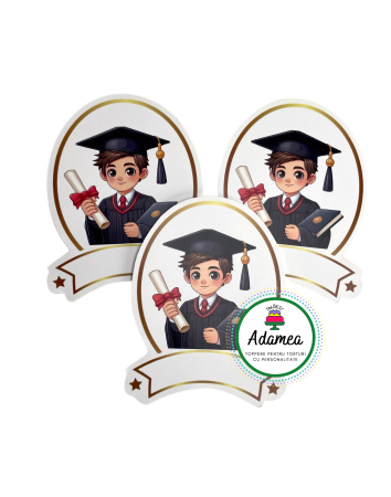 Toppere tort - Topper de tort  personalizat cu element special din carton  premium de inalta calitate sub forma  de elev absovent la final de an scolar - topper personalizabil cu nume