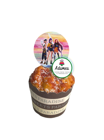 Topper de tort  personalizat cu element special din carton sub forma dediscuri imprimate cu tematica Huntrix si Saya Boys [1]