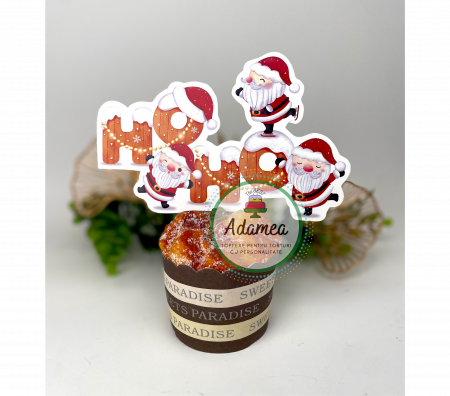 Toppere tort - Topper de tort cu element special din carton sub forma de  placuta simpatica cu hohoho si mos craciun