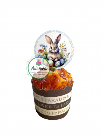 Sarbatori Pascale - Topper de tort  personalizat cu element special din carton sub forma de  decor de tort cerc cu iepuras si oua colorate de Paste