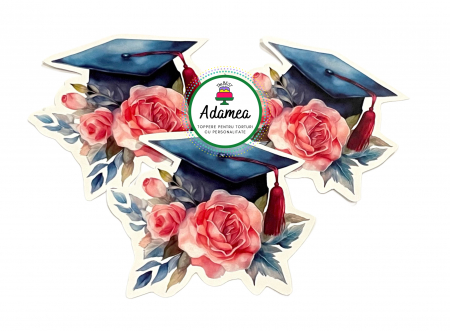 Final de an scolar - Topper de tort  personalizat cu element special din carton sub forma de  toca si flori pictate roz rosu