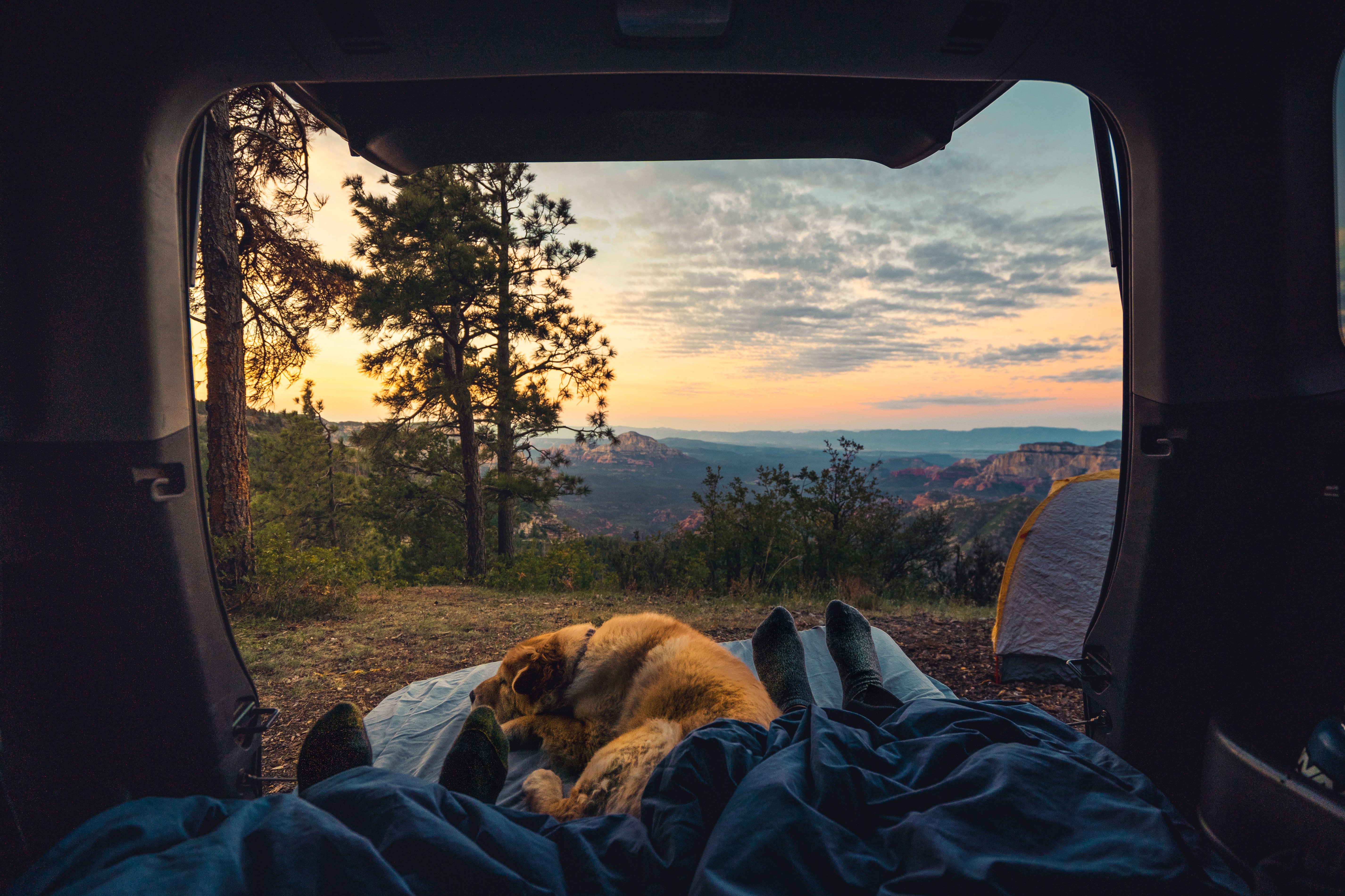 Cum să dormi mai bine în timp ce faci camping?