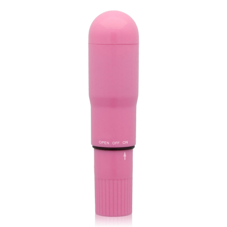 Mini Vibrator Glossy  Pocket Roz [2]